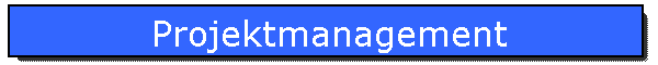 Projektmanagement