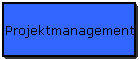 Projektmanagement
