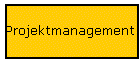 Projektmanagement